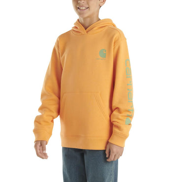 Carhartt Kid's CA6549 Long-Sleeve Graphic Sweatshirt - Boys