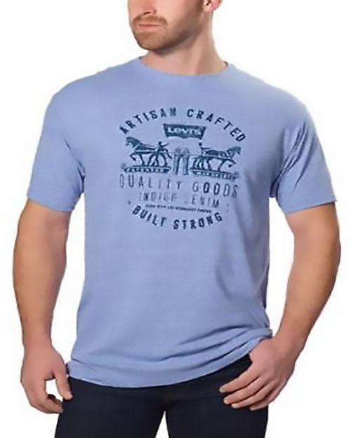 Levi's Men's Short Sleeve Graphic Tee
