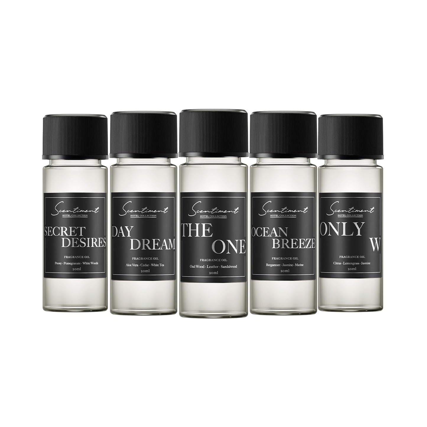 Hotel Diffuser Oil | Aromatherapy Fragrances Inspired by 5-Star Hotels | Luxurious Scents with Notes of Cardamom, Tuscan Leather, and Sandalwood (20ml, Top 5 Scents)