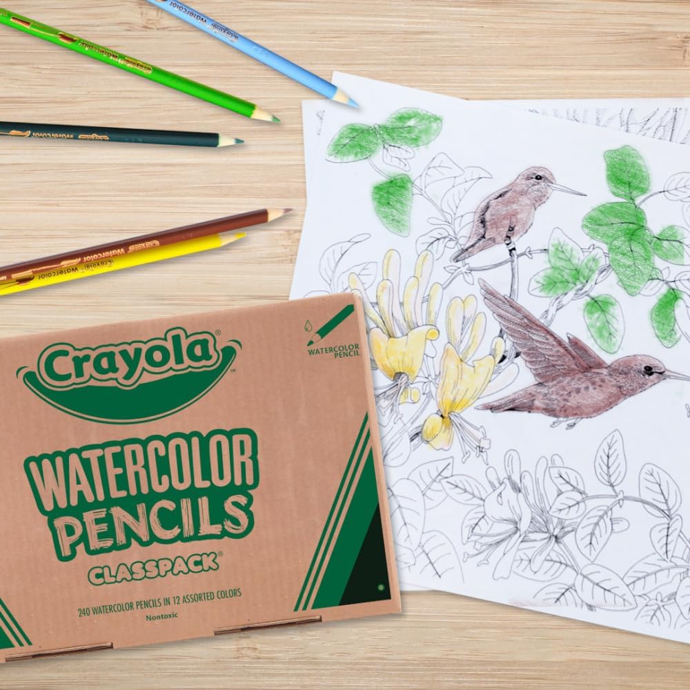 Crayola Classpack Watercolor Pencils, 240ct, 20 each of 12 Colors, Great for Classroom, Educational, Art Tools