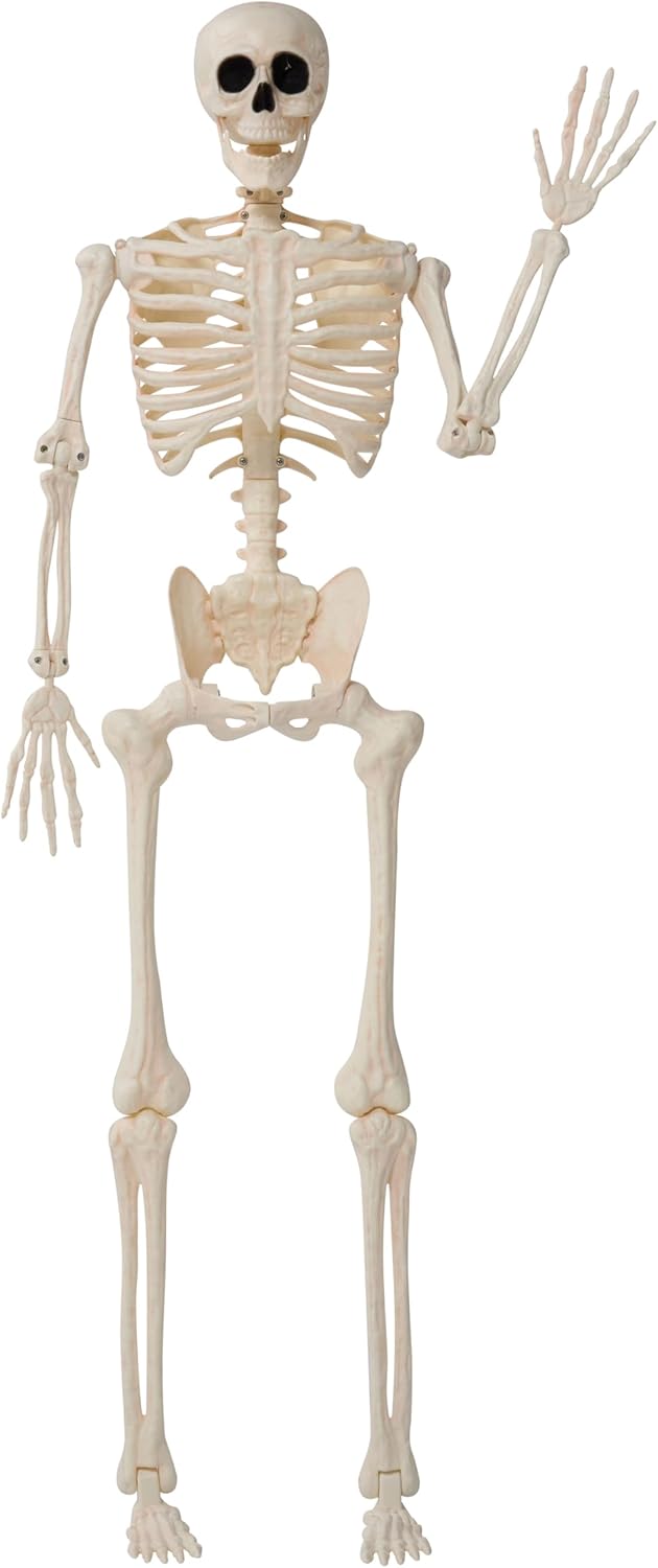 JOYIN 36" Halloween Skeleton Decor, 3FT Full Body Stayable Movable Joints, Posable Hanging Skeletons for Halloween Decoration, Yard, Graveyard, Haunted House Props, Spooky Scene Party Favor