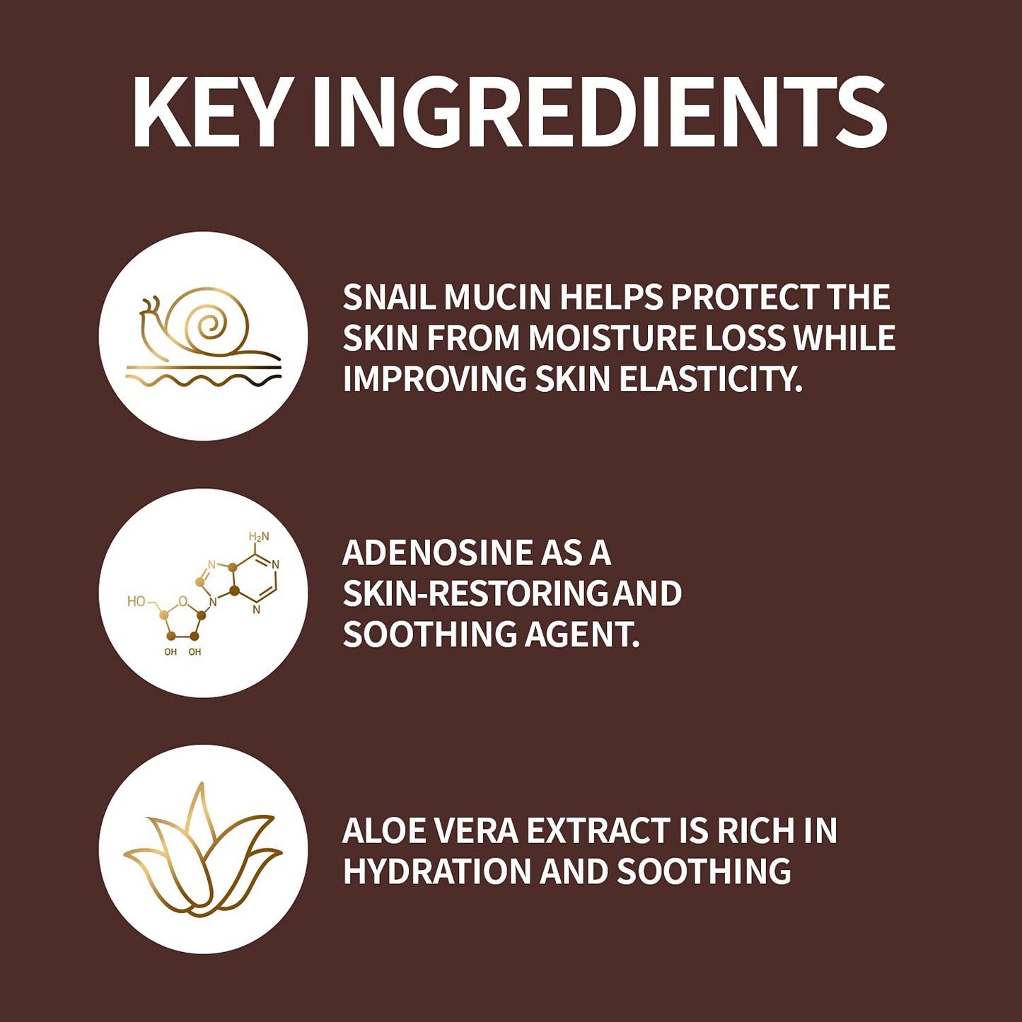 The Skin House Wrinkle Snail System Cream 100ml (3.4 fl.oz) Wrinkle Care Firming/Paraben Free, Cruelty Free, Korean Skin Care