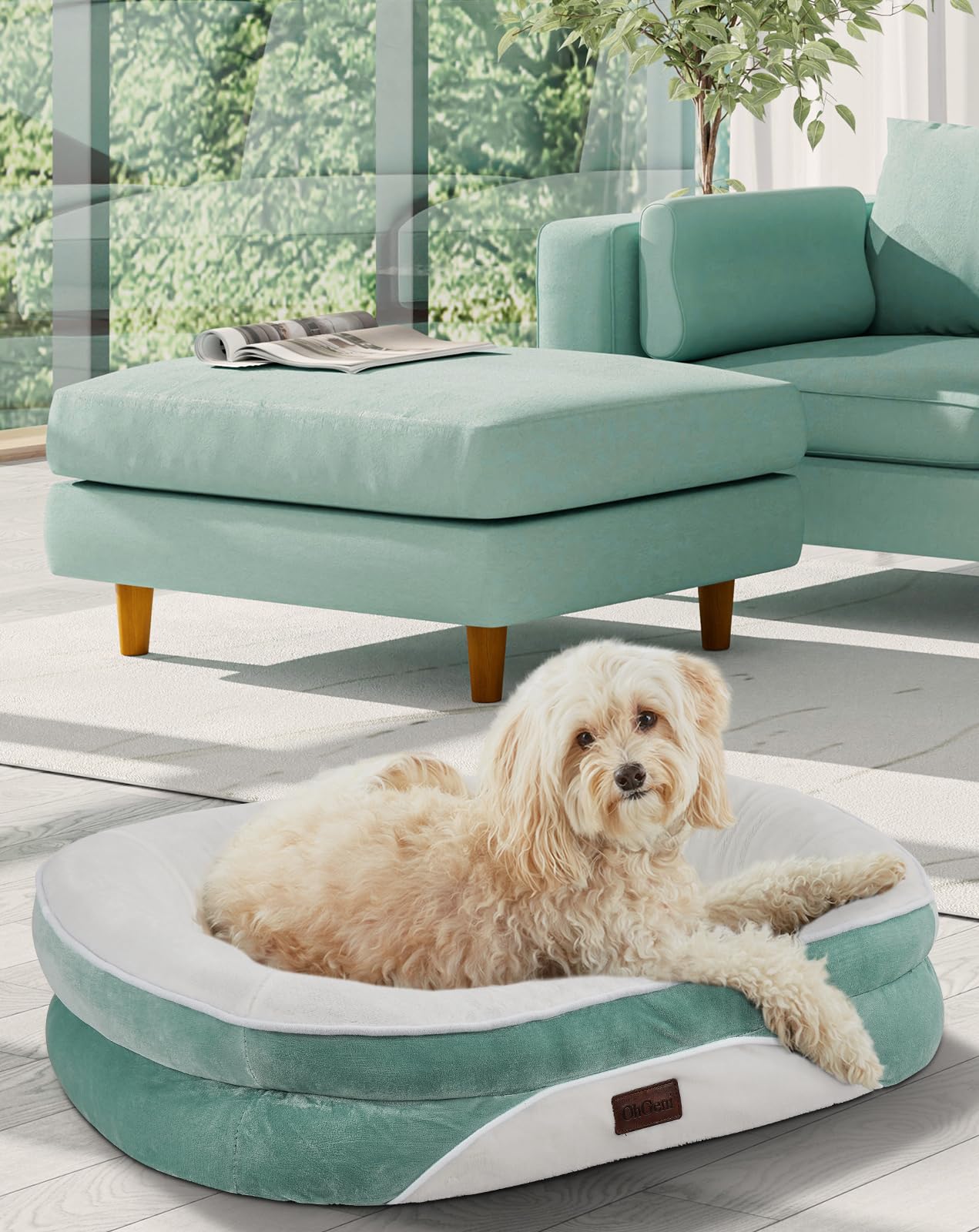 OhGeni Orthopedic Dog Bed Couch for Large Sized Pets with Egg Foam Support, Four-Sided Bolster Cushions, Soft Tear-Resistant Fabric, and Removable Machine Washable Plush Cover 35-Inch (Gray)
