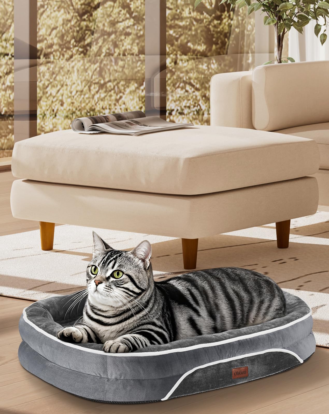 OhGeni Orthopedic Dog Bed Couch for Large Sized Pets with Egg Foam Support, Four-Sided Bolster Cushions, Soft Tear-Resistant Fabric, and Removable Machine Washable Plush Cover 35-Inch (Gray)