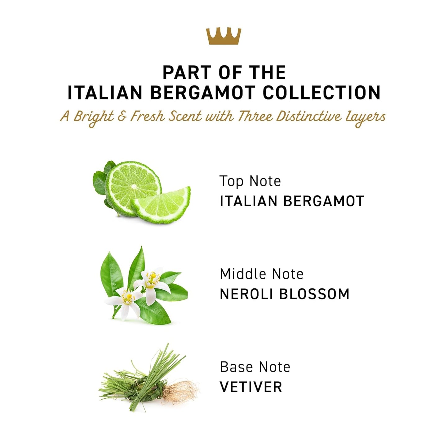 Cremo Italian Bergamot Spray Cologne For Men, A Combination of Italian Bergamot, Neroli Blossom, and Fresh Vetiver, 3.4 Fl Oz