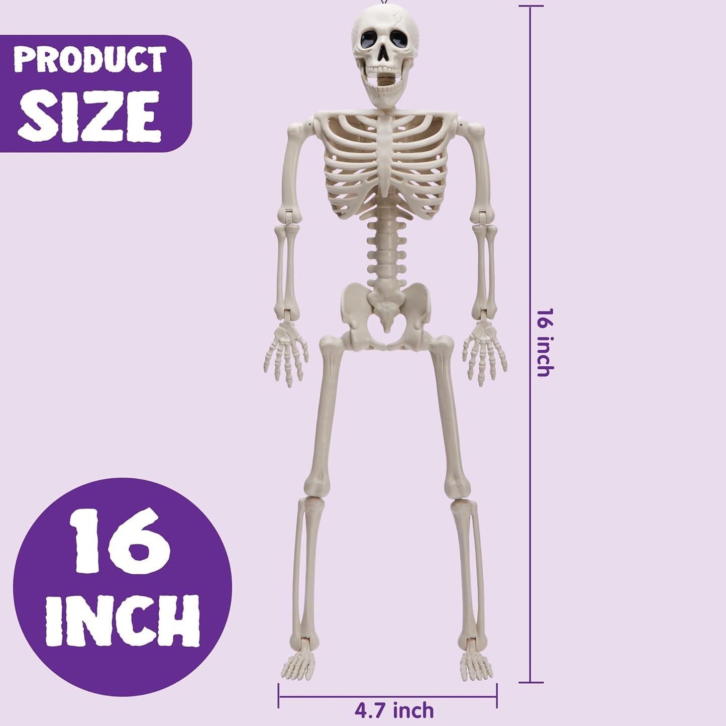 JOYIN 5 PCS Posable Halloween Skeleton Decor 16 Inches, Full Body Posable Joints Hanging Skeletons for Halloween Decorations, Graveyard Props, Haunted House Accessories, Spooky Scene Party Favors