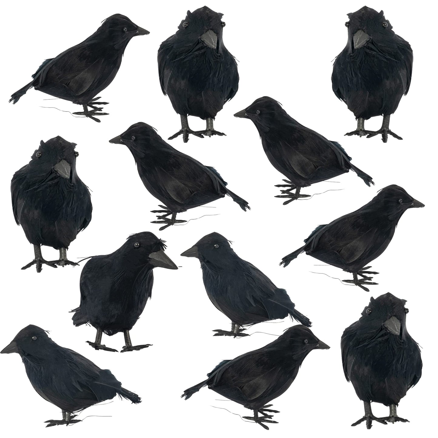 Dazzle Bright 6Pack Halloween Black Feathered Crows Decor, Holiday Decoration for Indoor Outdoor Home Yard Garden Party Carnival Supplies