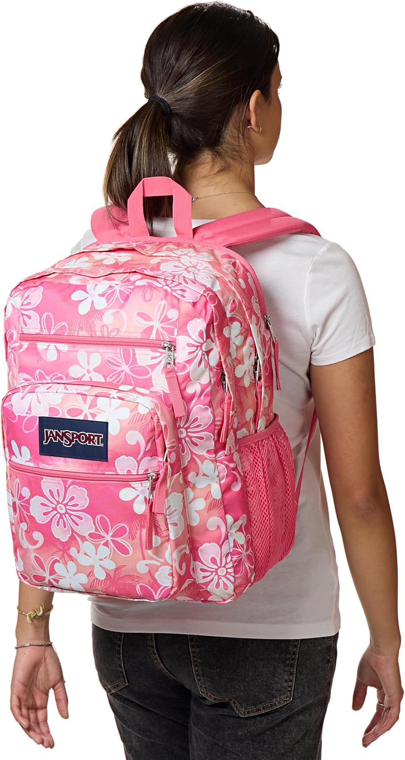 JanSport Laptop Backpack - Computer Bag with 2 Compartments, Ergonomic Shoulder Straps, 15” Laptop Sleeve, Haul Handle - Hiblisscus