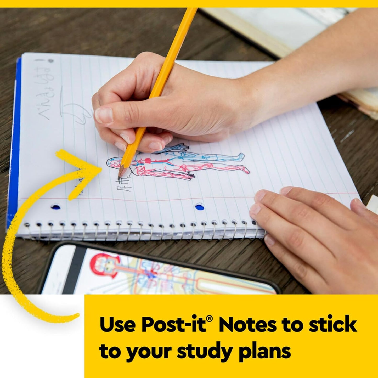 Post-it Colored Transparent Sticky Notes 3x3 in 8 Pads/Pack 36 Sheets/Pad Sticks Securely and Removes Cleanly
