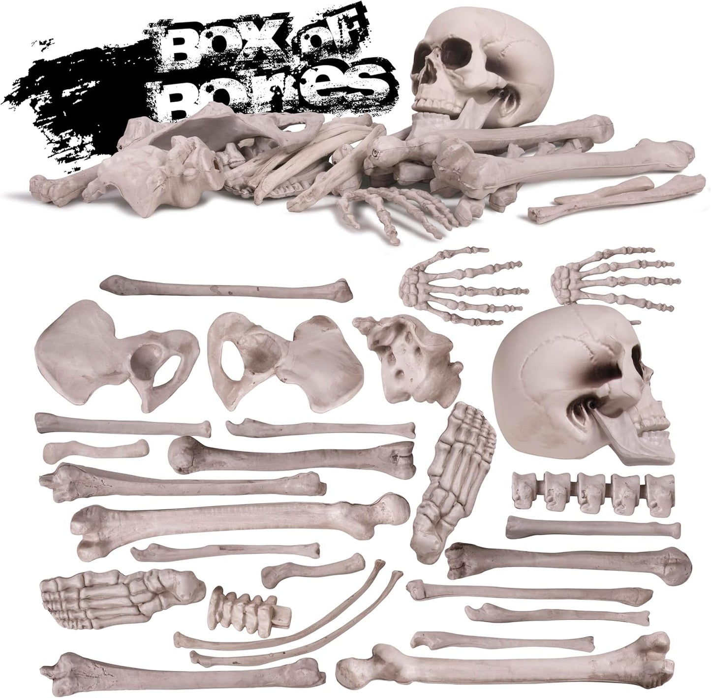 Kangaroo Halloween Skeleton Decor Bones 30 Pieces Bulk - Large Bag of Plastic Bones for Outdoor Yard Decoration - Scary Graveyard Fake Skulls and Bones