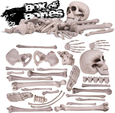 Kangaroo Halloween Skeleton Decor Bones 30 Pieces Bulk - Large Bag of Plastic Bones for Outdoor Yard Decoration - Scary Graveyard Fake Skulls and Bones