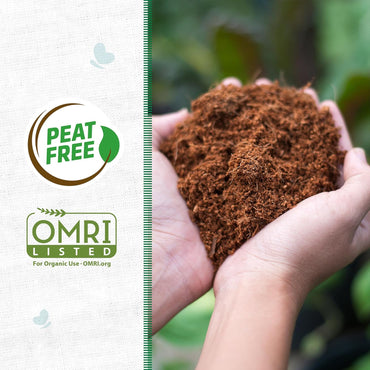 Back to the Roots Organic Coir, 51 Quart Expanding Soil, Great for Seeds and Potting