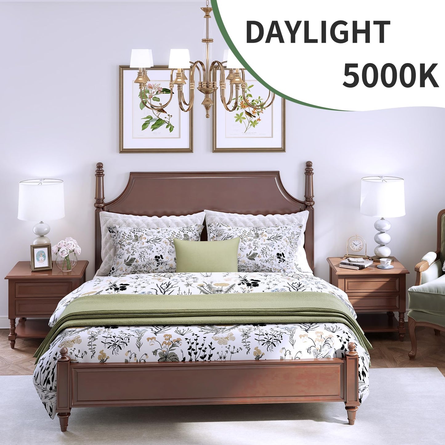 6-Pack A19 LED Light Bulbs,60 Watt Equivalent Daylight 5000K with E26 Base,Efficient 9W,800 Lumens Non-Dimmable LED Bulbs,15000 Hours, Ideal for Bedroom Living Room