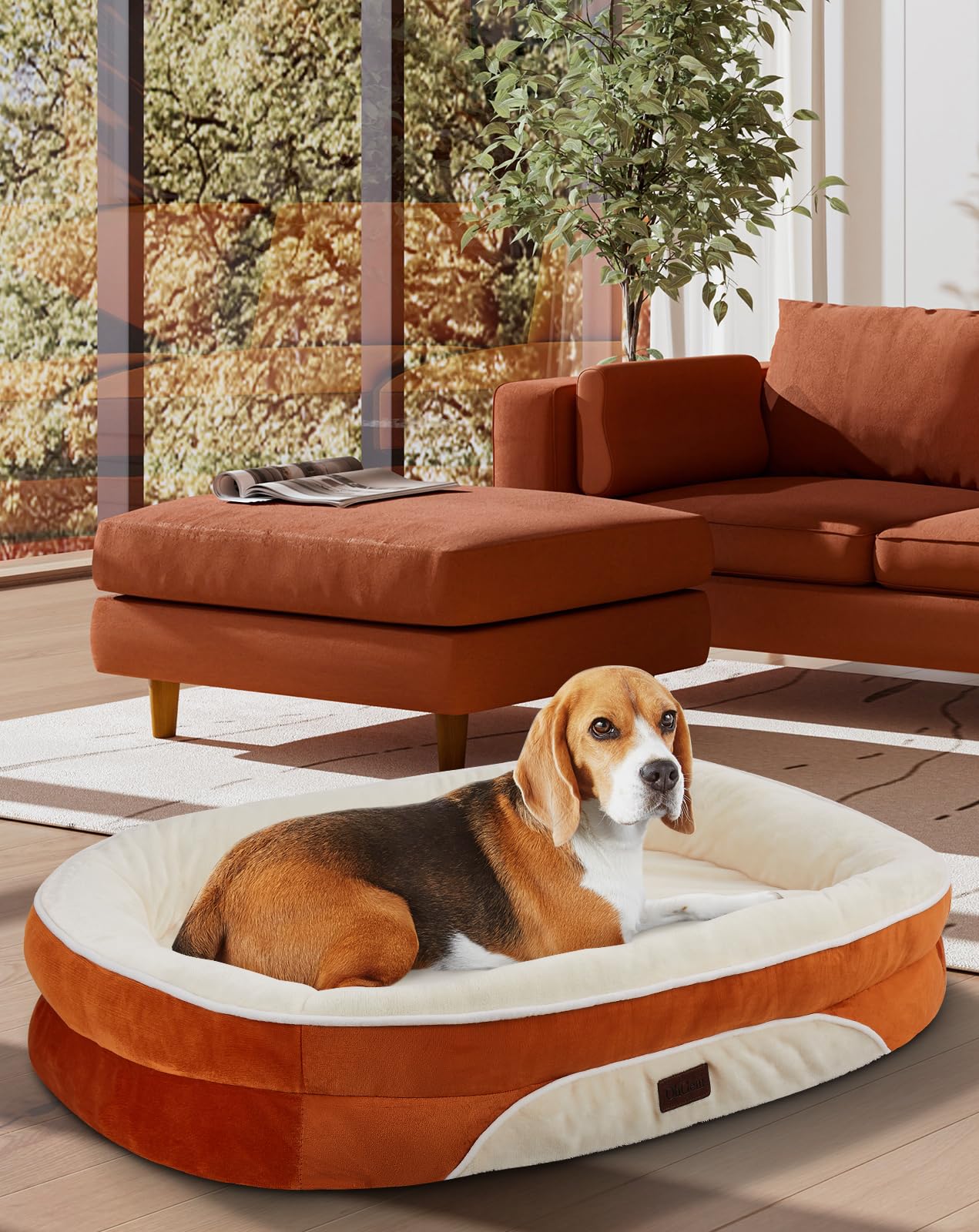 OhGeni Orthopedic Dog Bed Couch for Large Sized Pets with Egg Foam Support, Four-Sided Bolster Cushions, Soft Tear-Resistant Fabric, and Removable Machine Washable Plush Cover 35-Inch (Gray)