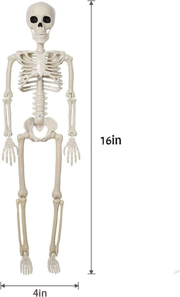 5 Pack Halloween Skeleton Decoration,16" Full Body Posable Skeleton Realistic Human Bones with Posable Joints for Halloween Pose Prop Decor Yard Lawn Garden Patio Outdoor Haunted House Decorations