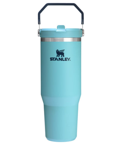Stanley IceFlow Flip Straw Tumbler with Handle 30 oz | Twist On Lid and Flip Up Straw | Leak Resistant Water Bottle | Insulated Stainless Steel |BPA-Free | Lilac