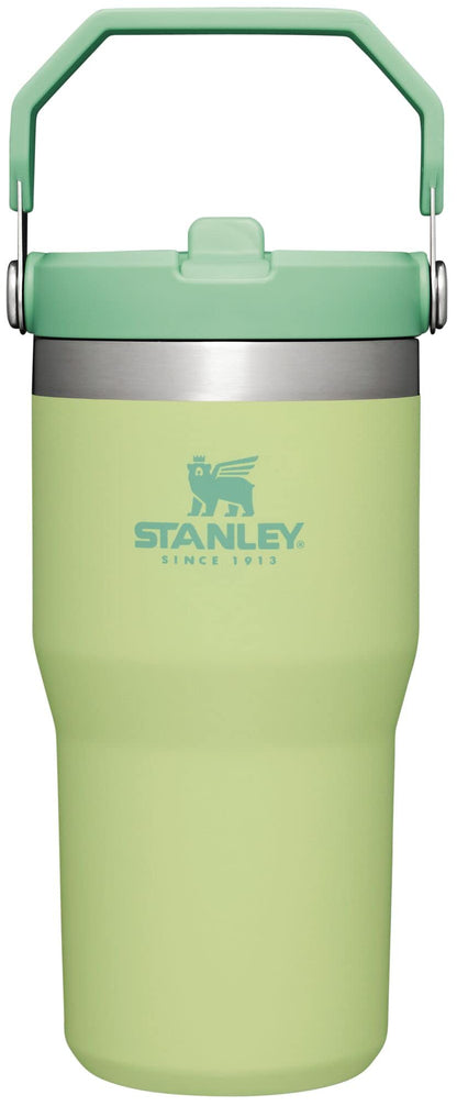 Stanley IceFlow Flip Straw Tumbler with Handle 30 oz | Twist On Lid and Flip Up Straw | Leak Resistant Water Bottle | Insulated Stainless Steel |BPA-Free | Lilac