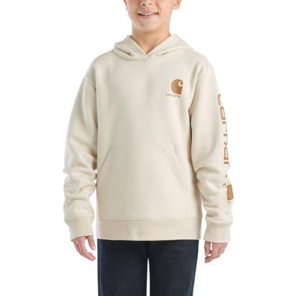 Carhartt Kid's CA6272 Long-Sleeve Graphic Sweatshirt - Boys