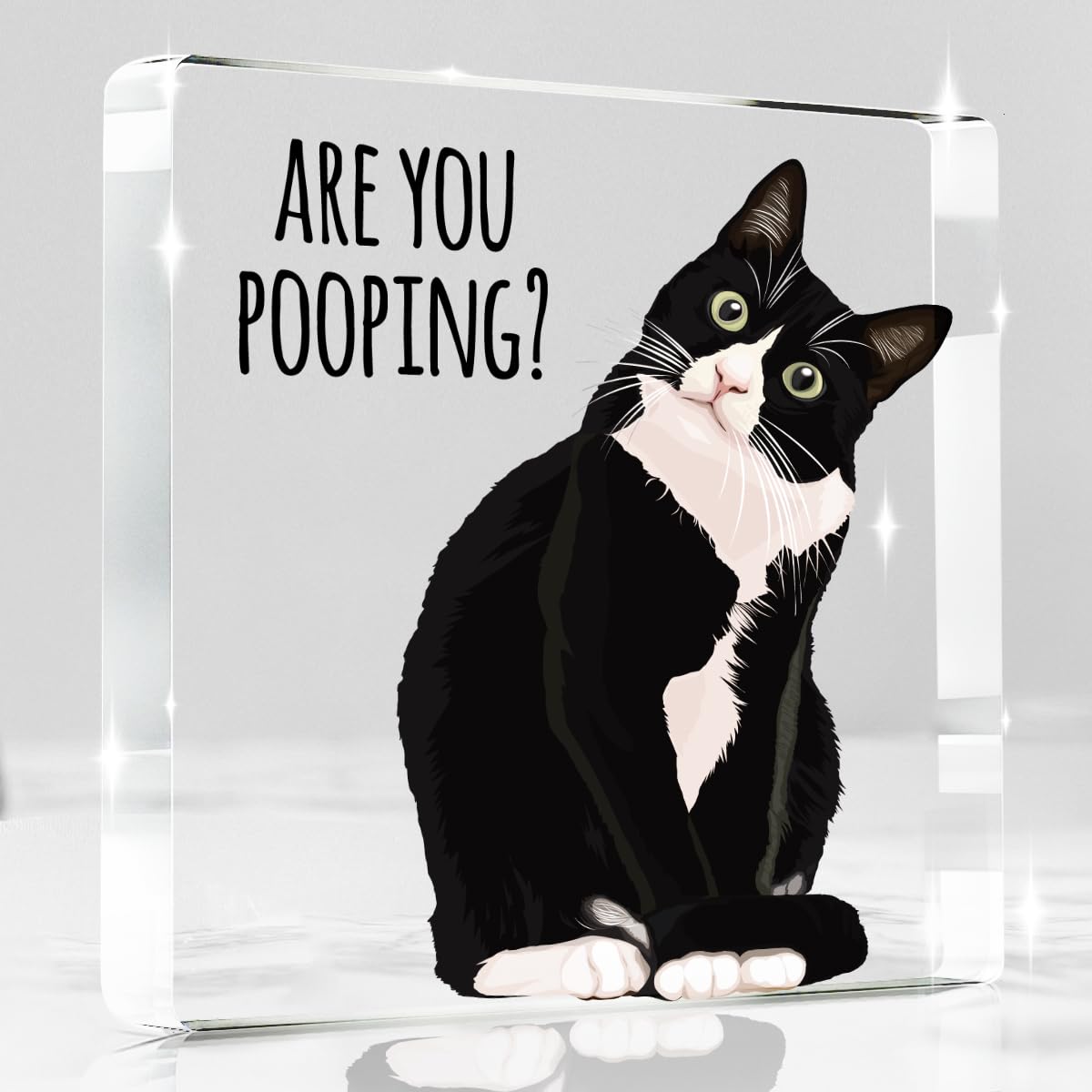 Black Cat Decor Halloween Cat Bathroom Decor Are You Pooping Funny Bathroom Acrylic Decors Sign Cat for Home Bathrooms Cats Lover Gifts For Women Men Halloween Christmas