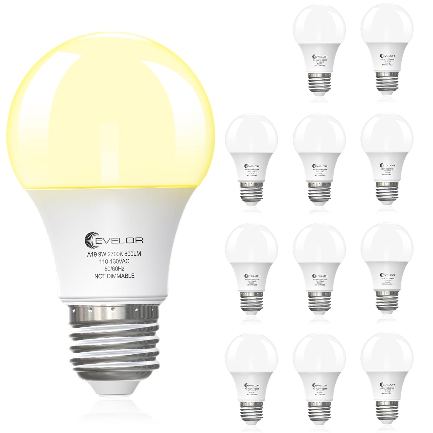 6-Pack A19 LED Light Bulbs,60 Watt Equivalent Daylight 5000K with E26 Base,Efficient 9W,800 Lumens Non-Dimmable LED Bulbs,15000 Hours, Ideal for Bedroom Living Room