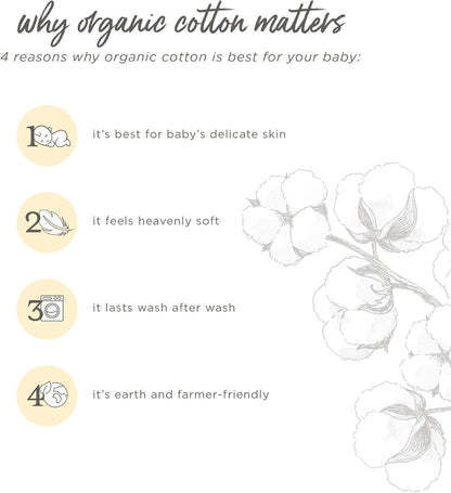 Burt's Bees Baby and Family Matching Holiday Organic Cotton Pajamas