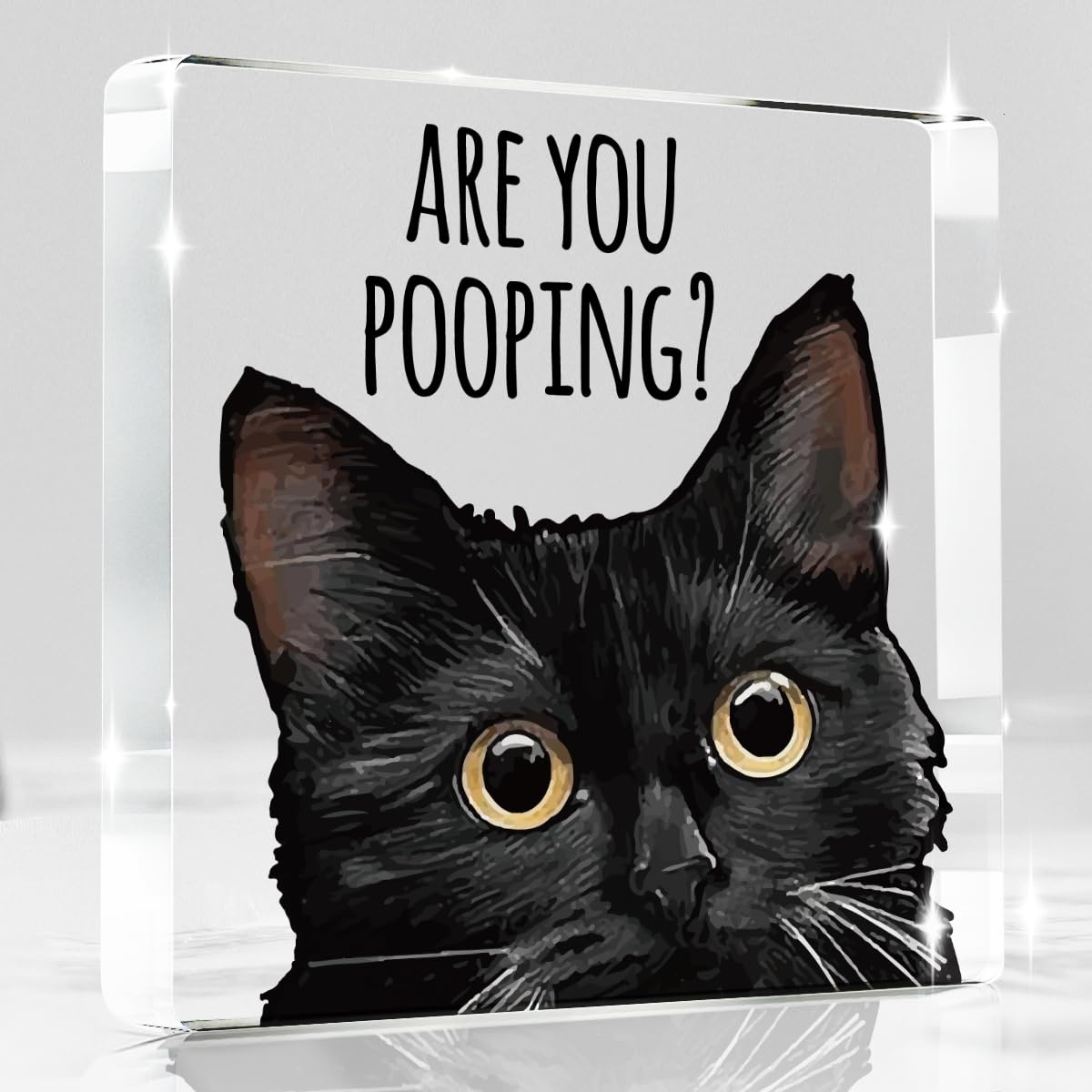 Black Cat Decor Halloween Cat Bathroom Decor Are You Pooping Funny Bathroom Acrylic Decors Sign Cat for Home Bathrooms Cats Lover Gifts For Women Men Halloween Christmas
