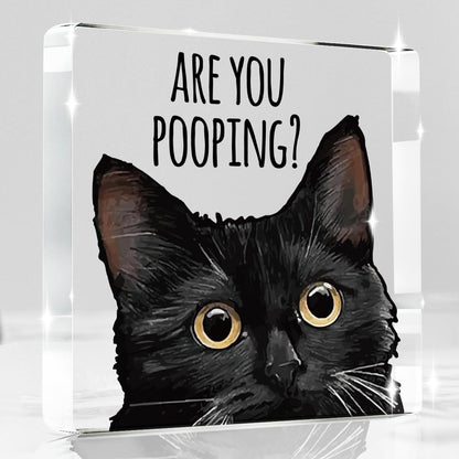 Black Cat Decor Halloween Cat Bathroom Decor Are You Pooping Funny Bathroom Acrylic Decors Sign Cat for Home Bathrooms Cats Lover Gifts For Women Men Halloween Christmas