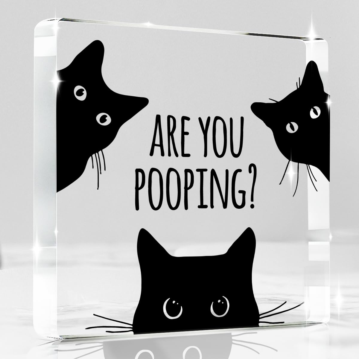 Black Cat Decor Halloween Cat Bathroom Decor Are You Pooping Funny Bathroom Acrylic Decors Sign Cat for Home Bathrooms Cats Lover Gifts For Women Men Halloween Christmas