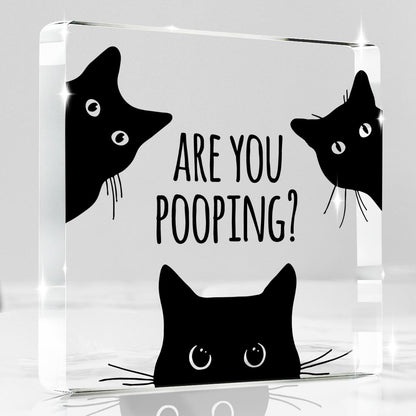 Black Cat Decor Halloween Cat Bathroom Decor Are You Pooping Funny Bathroom Acrylic Decors Sign Cat for Home Bathrooms Cats Lover Gifts For Women Men Halloween Christmas