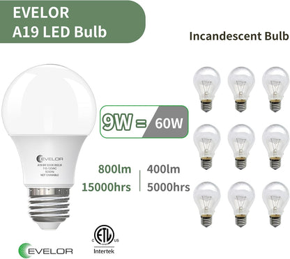 6-Pack A19 LED Light Bulbs,60 Watt Equivalent Daylight 5000K with E26 Base,Efficient 9W,800 Lumens Non-Dimmable LED Bulbs,15000 Hours, Ideal for Bedroom Living Room