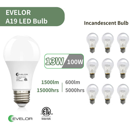6-Pack A19 LED Light Bulbs,60 Watt Equivalent Daylight 5000K with E26 Base,Efficient 9W,800 Lumens Non-Dimmable LED Bulbs,15000 Hours, Ideal for Bedroom Living Room