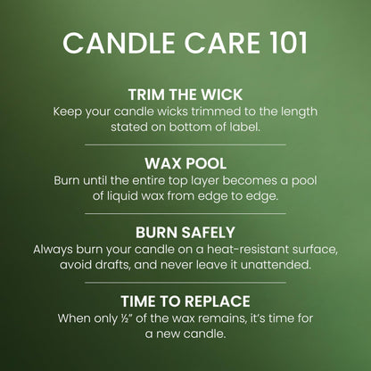 Yankee Candle Balsam & Cedar, Holiday Scented Candle, 22oz Large Jar with up to 150 Hour Burn Time, Giftable