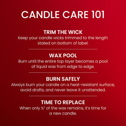Yankee Candle Balsam & Cedar, Holiday Scented Candle, 22oz Large Jar with up to 150 Hour Burn Time, Giftable
