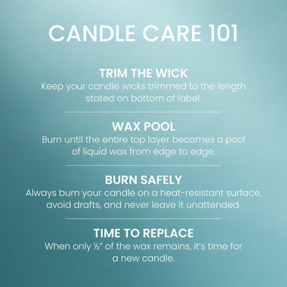Yankee Candle Balsam & Cedar, Holiday Scented Candle, 22oz Large Jar with up to 150 Hour Burn Time, Giftable