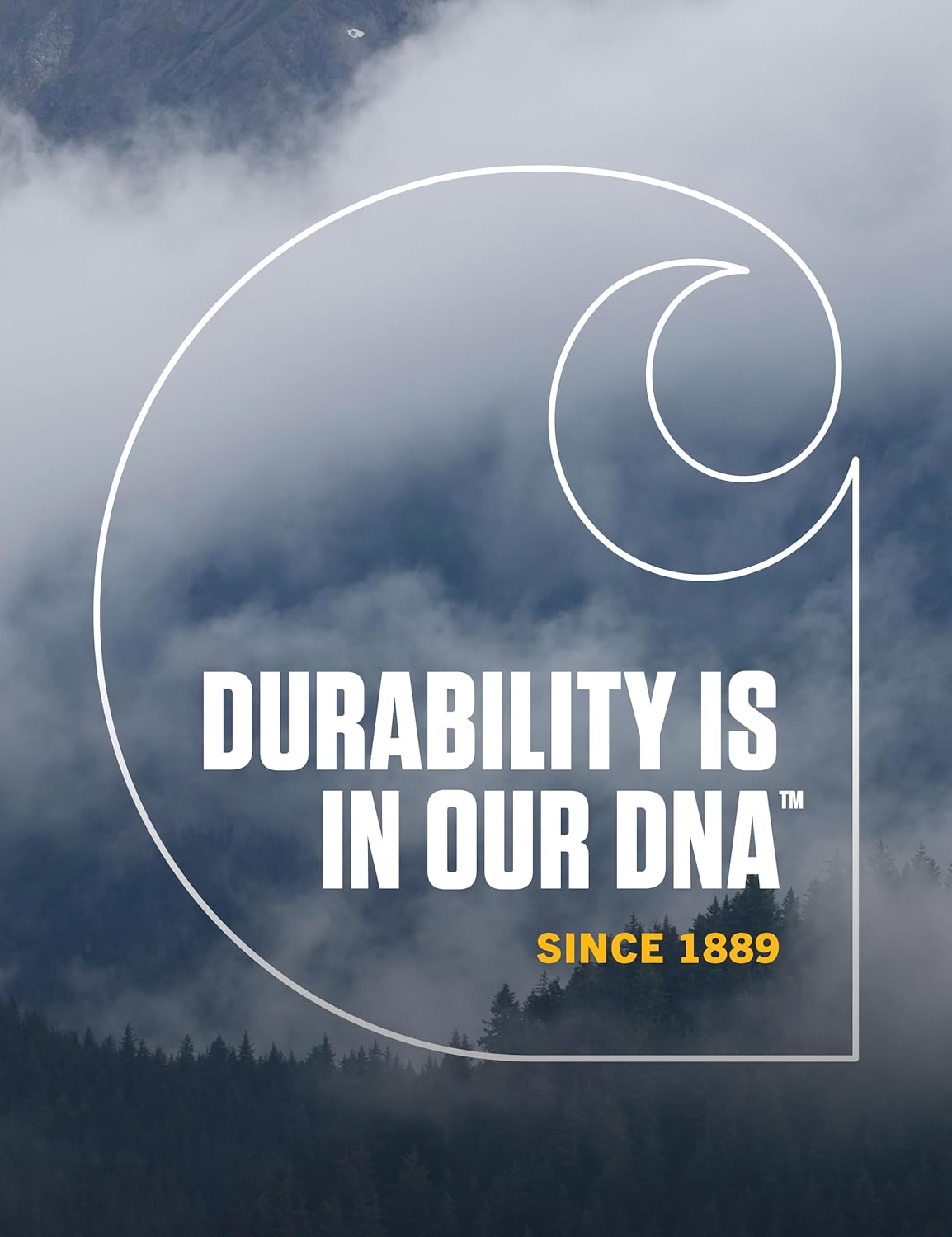 Carhartt Men's Knit Cuffed Beanie