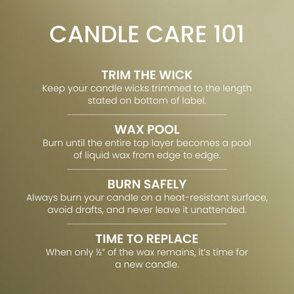 Yankee Candle Balsam & Cedar, Holiday Scented Candle, 22oz Large Jar with up to 150 Hour Burn Time, Giftable