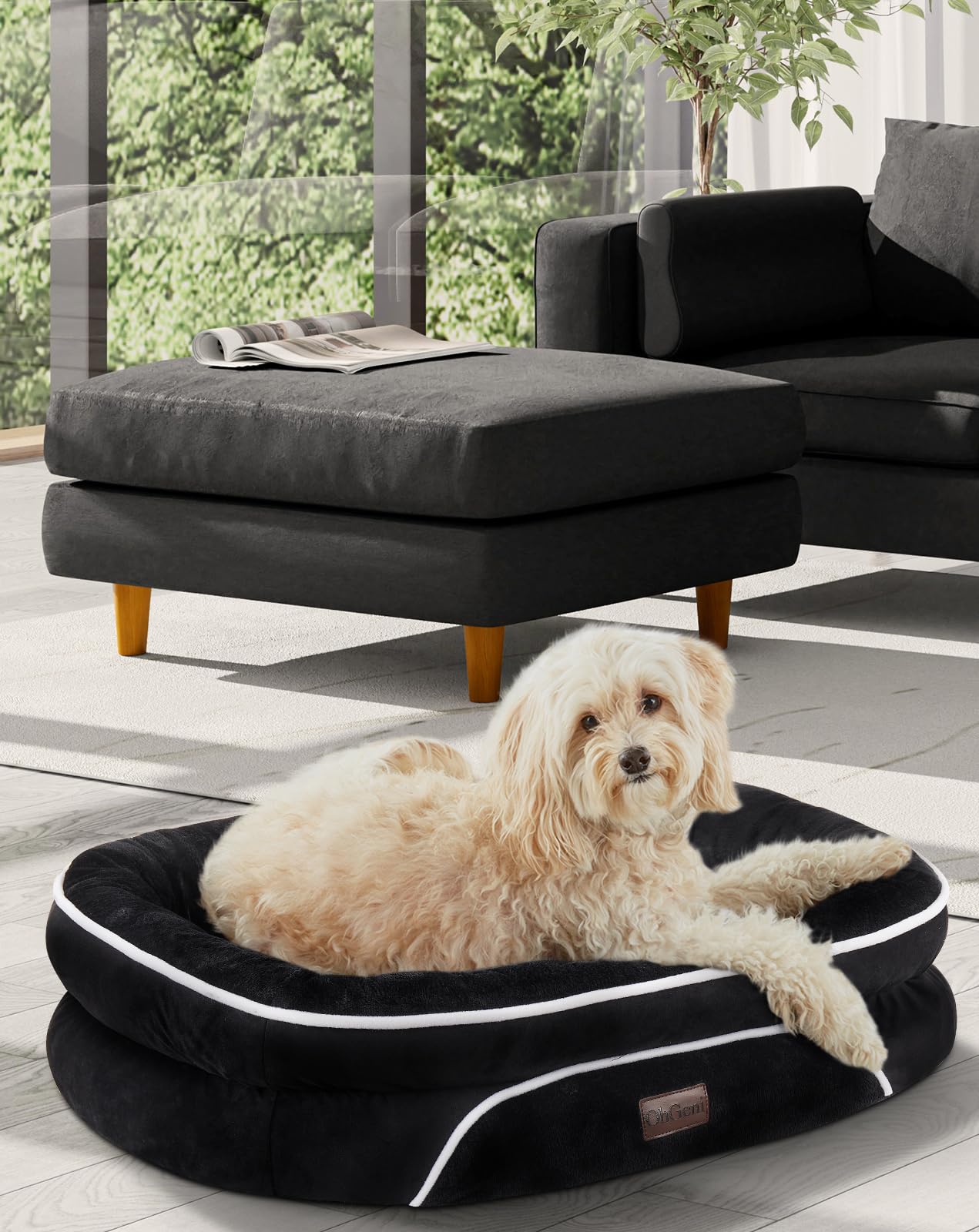 OhGeni Orthopedic Dog Bed Couch for Large Sized Pets with Egg Foam Support, Four-Sided Bolster Cushions, Soft Tear-Resistant Fabric, and Removable Machine Washable Plush Cover 35-Inch (Gray)