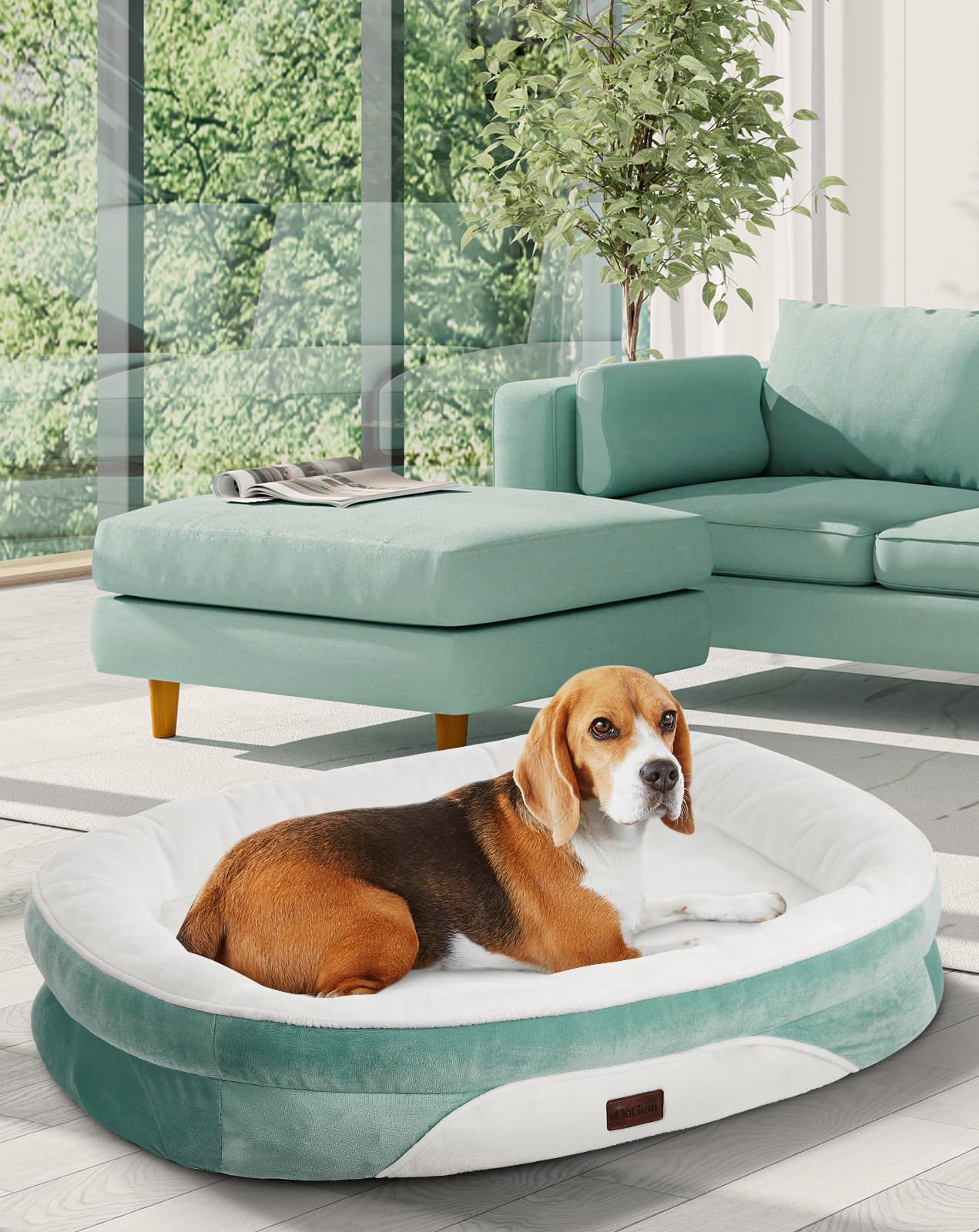 OhGeni Orthopedic Dog Bed Couch for Large Sized Pets with Egg Foam Support, Four-Sided Bolster Cushions, Soft Tear-Resistant Fabric, and Removable Machine Washable Plush Cover 35-Inch (Gray)