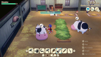 Story of Seasons Grand Bazaar Premium Edition Nintendo Switch
