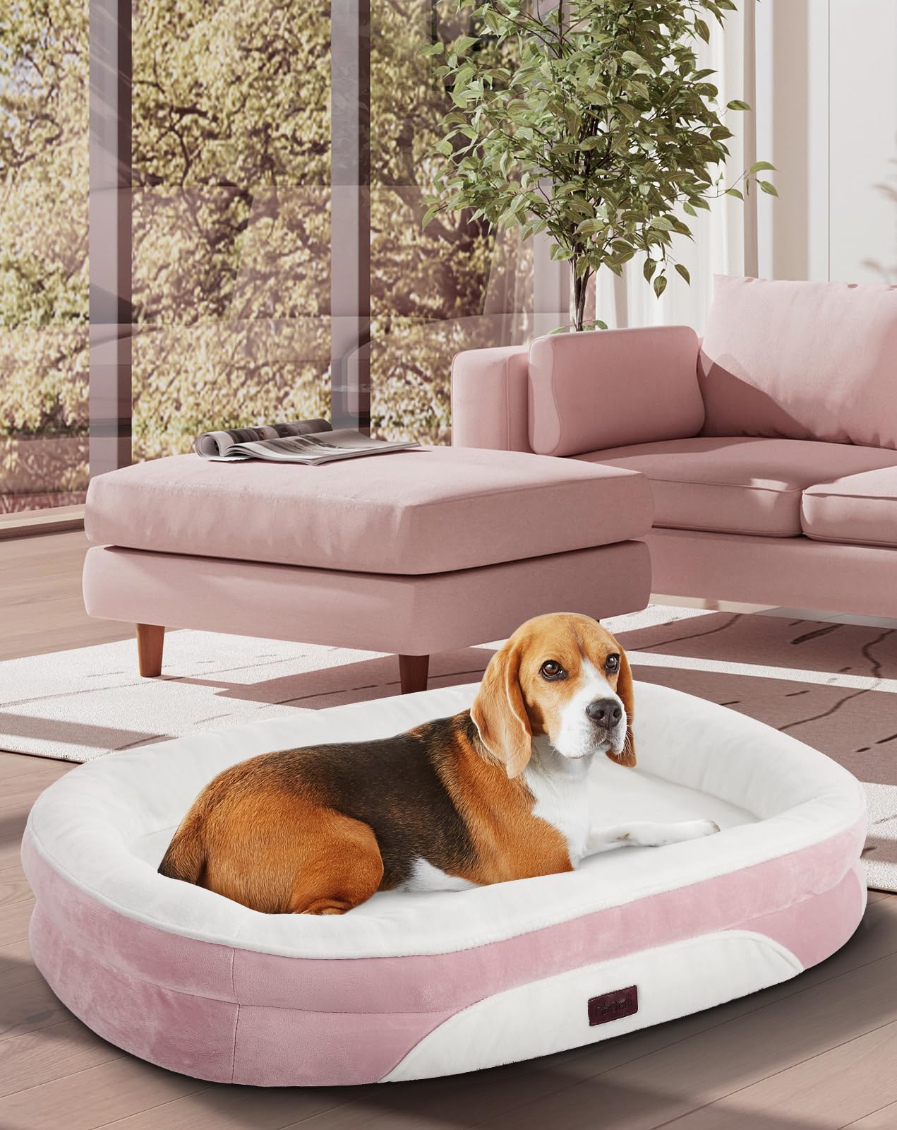 OhGeni Orthopedic Dog Bed Couch for Large Sized Pets with Egg Foam Support, Four-Sided Bolster Cushions, Soft Tear-Resistant Fabric, and Removable Machine Washable Plush Cover 35-Inch (Gray)
