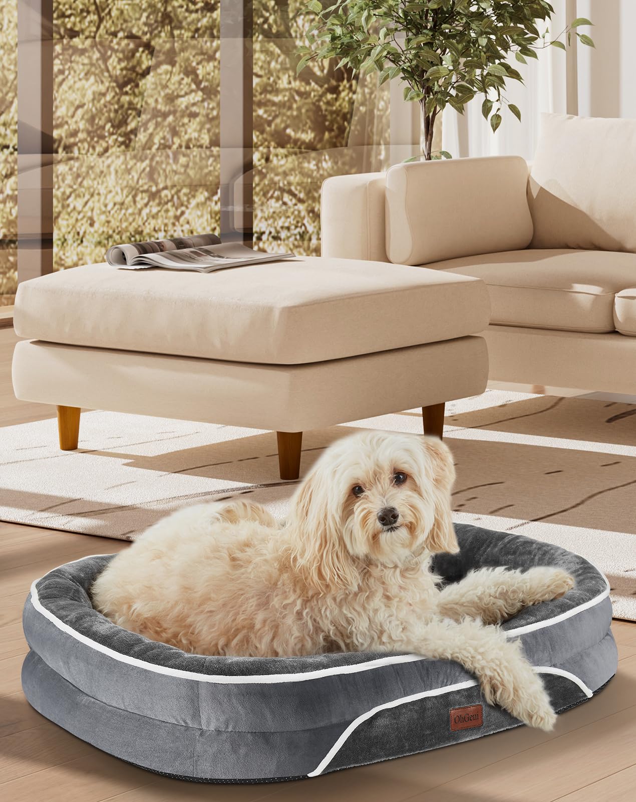 OhGeni Orthopedic Dog Bed Couch for Large Sized Pets with Egg Foam Support, Four-Sided Bolster Cushions, Soft Tear-Resistant Fabric, and Removable Machine Washable Plush Cover 35-Inch (Gray)