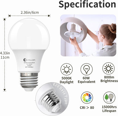 6-Pack A19 LED Light Bulbs,60 Watt Equivalent Daylight 5000K with E26 Base,Efficient 9W,800 Lumens Non-Dimmable LED Bulbs,15000 Hours, Ideal for Bedroom Living Room