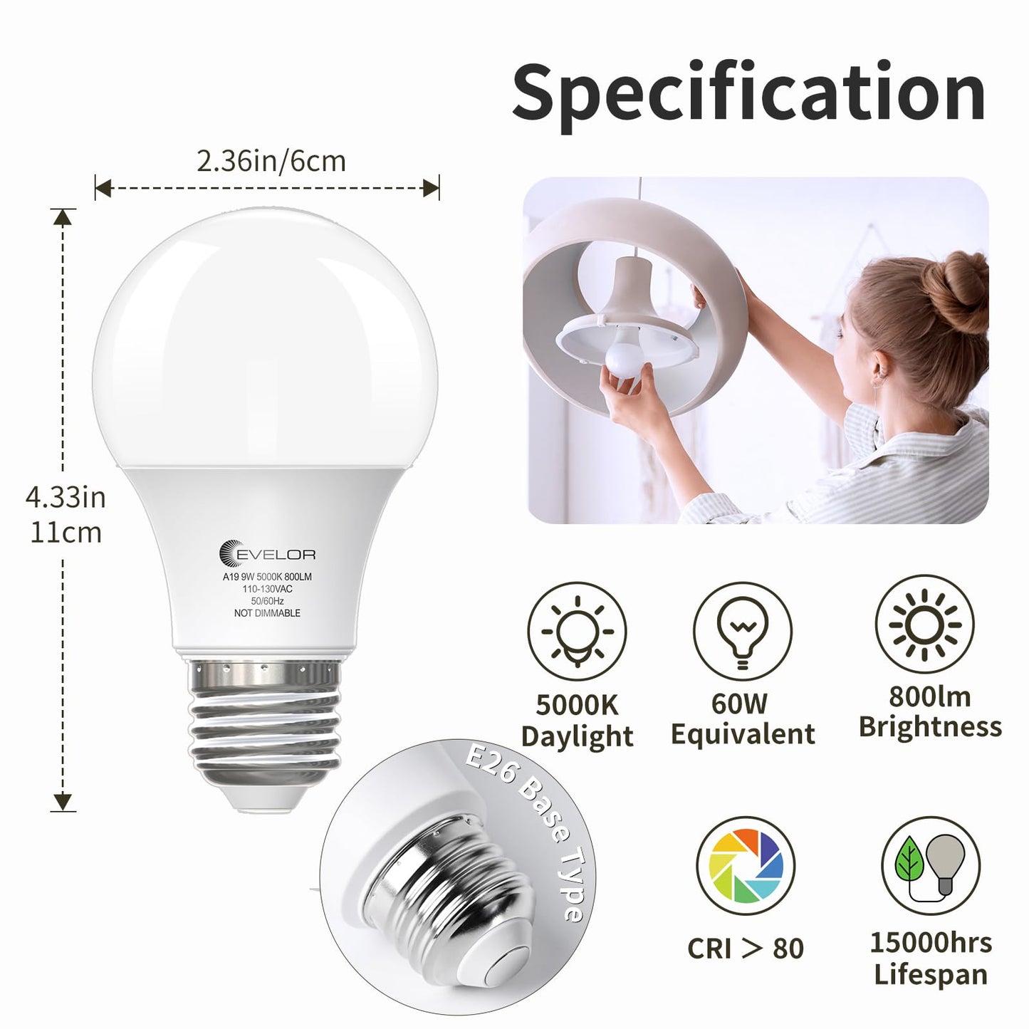 6-Pack A19 LED Light Bulbs,60 Watt Equivalent Daylight 5000K with E26 Base,Efficient 9W,800 Lumens Non-Dimmable LED Bulbs,15000 Hours, Ideal for Bedroom Living Room