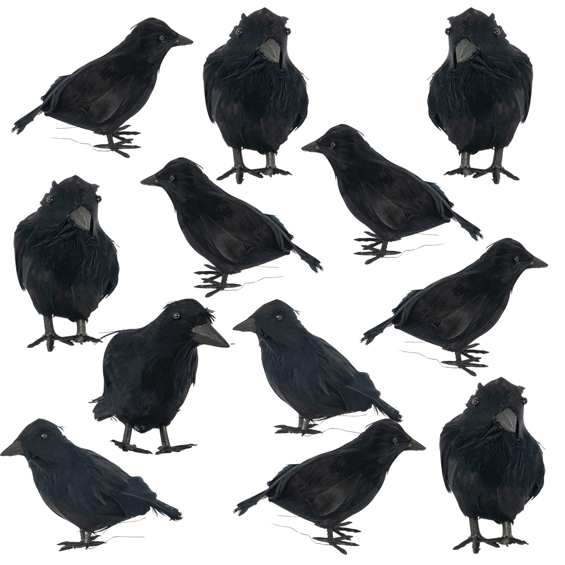 Dazzle Bright 6Pack Halloween Black Feathered Crows Decor, Holiday Decoration for Indoor Outdoor Home Yard Garden Party Carnival Supplies