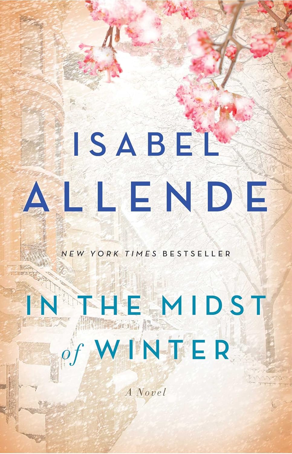 In the Midst of Winter: A Novel