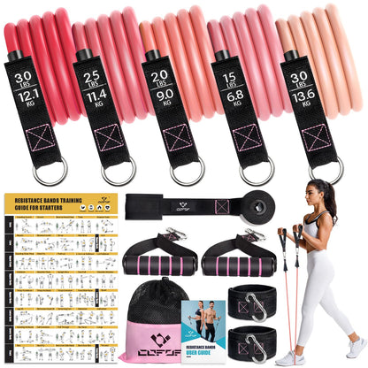 Resistance Bands with Handles for Women, 5 Level Exercise Bands Workout Bands for Physical Therapy, Yoga, Pilates, Door Anchor, Storage Pouch