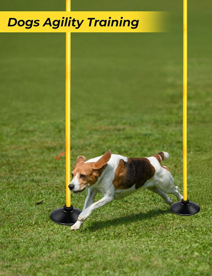 SEAOTTER Soccer Agility Poles Set, 4/6/10 Pcs 6ft Detachable Sports Trainning Speed Poles Slalom Poles with Rubber Base, Agility Training Equipment for Football, Rugby, Basketball, Indoor & Outdoor