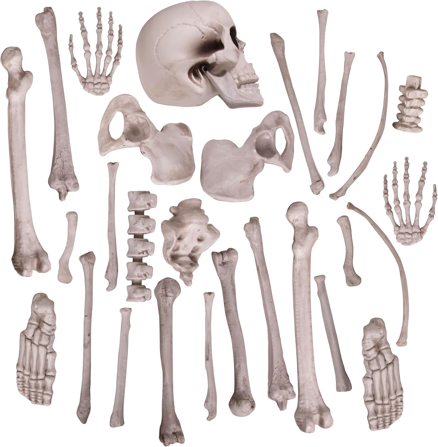 Kangaroo Halloween Skeleton Decor Bones 30 Pieces Bulk - Large Bag of Plastic Bones for Outdoor Yard Decoration - Scary Graveyard Fake Skulls and Bones