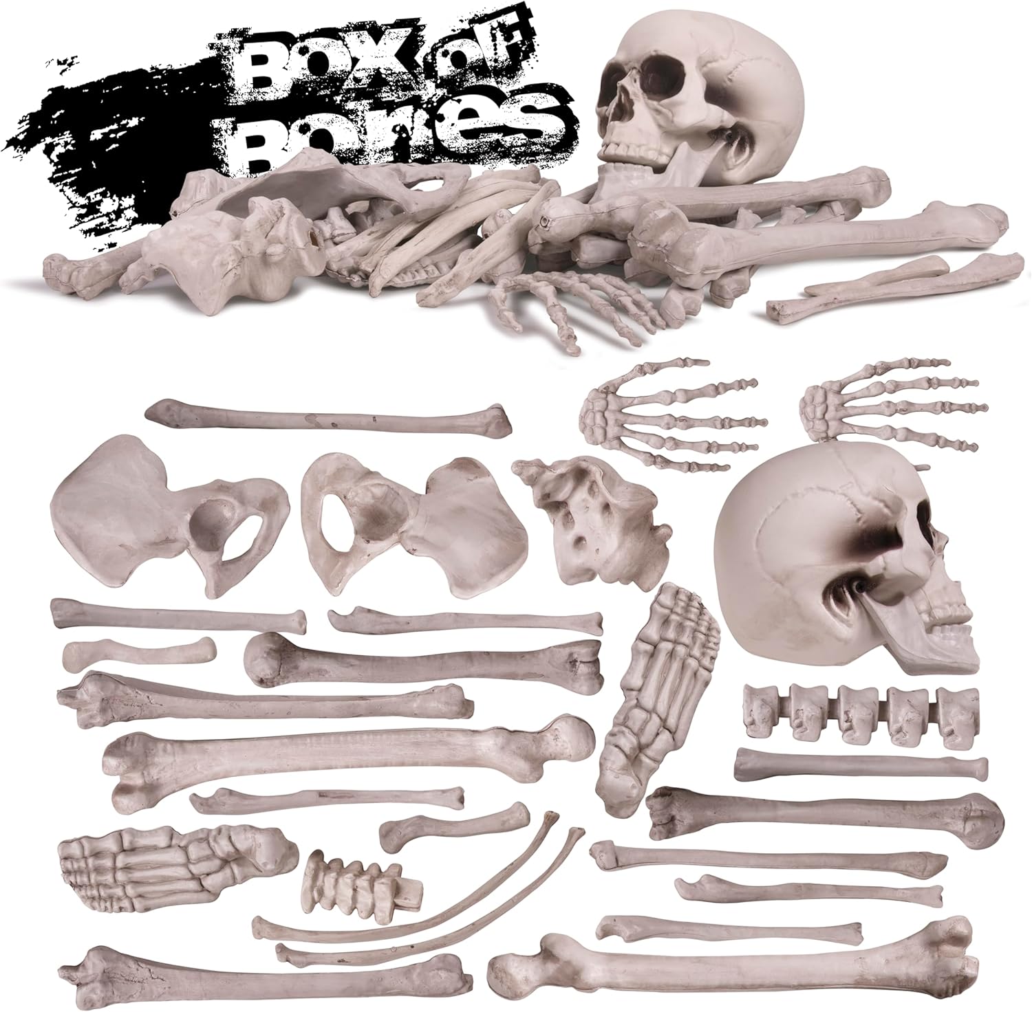 Kangaroo Halloween Skeleton Decor Bones 30 Pieces Bulk - Large Bag of Plastic Bones for Outdoor Yard Decoration - Scary Graveyard Fake Skulls and Bones