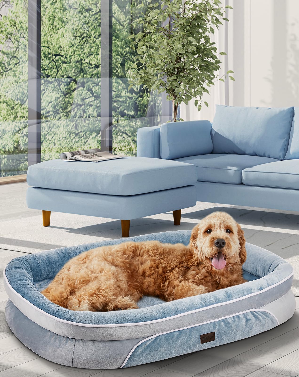 OhGeni Orthopedic Dog Bed Couch for Large Sized Pets with Egg Foam Support, Four-Sided Bolster Cushions, Soft Tear-Resistant Fabric, and Removable Machine Washable Plush Cover 35-Inch (Gray)